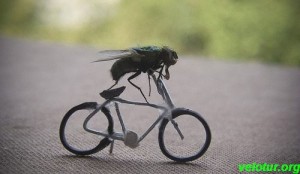 велосипед для мухи
